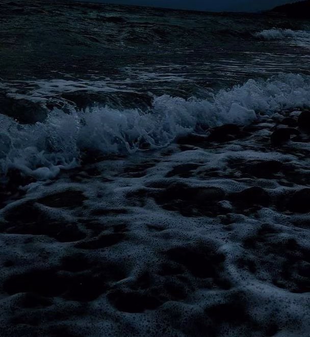The Grace In The Gale
